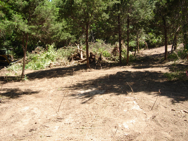 DSC00633