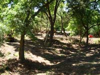 DSC00625