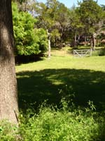 DSC00628
