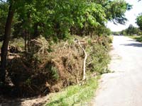 DSC00634